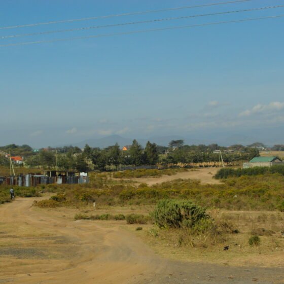 Kenya Grand Safari 9 Nights 10 Days