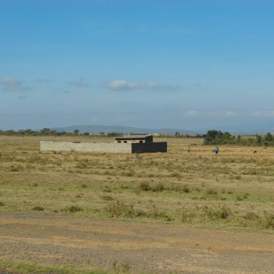 Kenya Signature Safari 7 Nights 8 Days