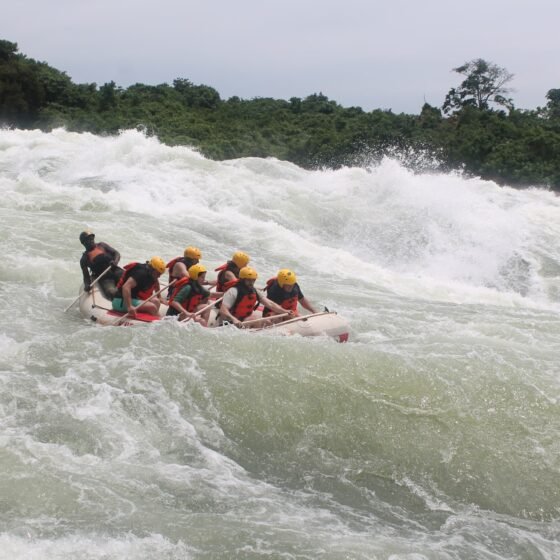 Uganda Essential 4 Nights 5 Days