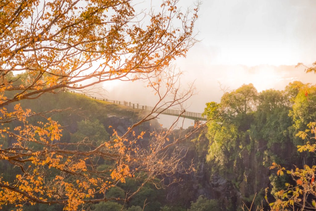 Zambia Essential 4 Nights 5 Days