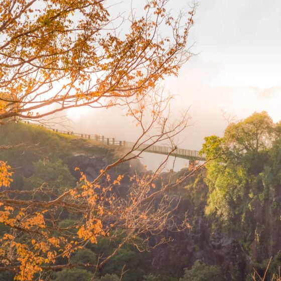 Zambia Essential 4 Nights 5 Days
