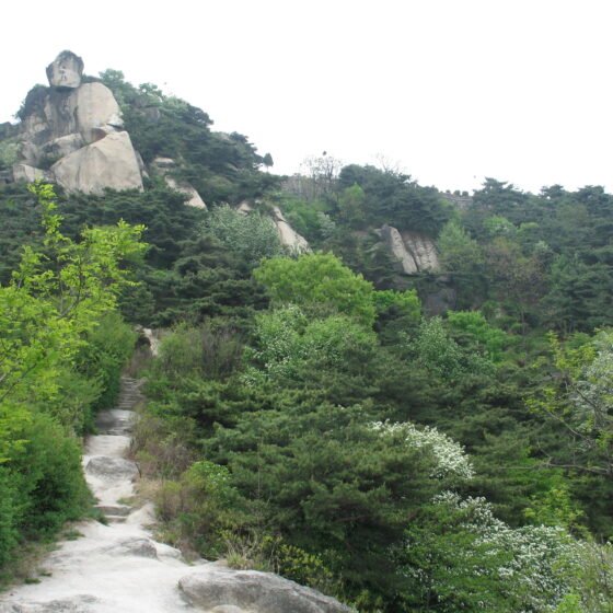 South Korea Grand Circuit 9 Nights 10 Days