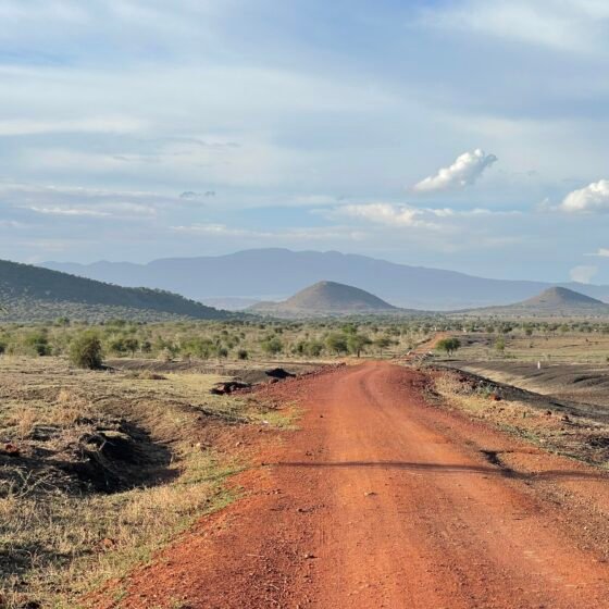 Tanzania Grand Safari & Island 11 Nights 12 Days
