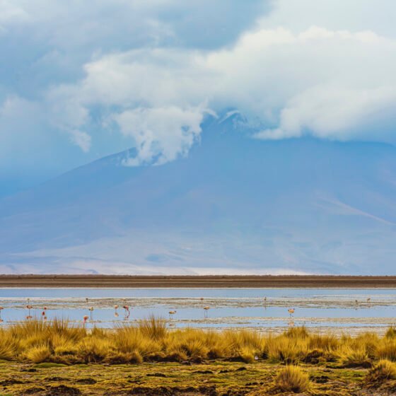 Bolivia Essential 4 Nights 5 Days