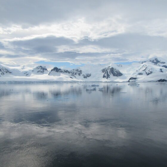 Falklands, South Georgia & Antarctica 19 Nights 20 Days