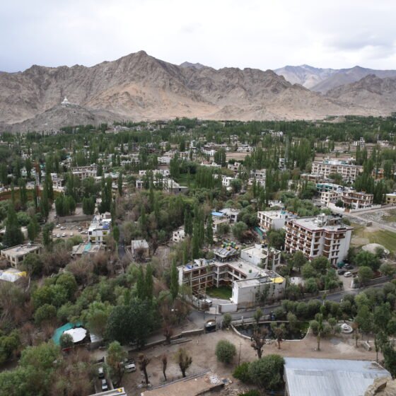 Leh Monastery and Indus Valley Day Experience