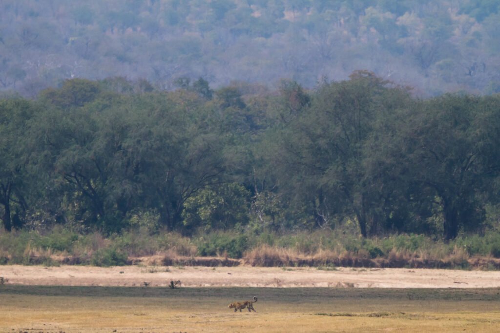 Zambia Grand Circuit 8 Nights 9 Days