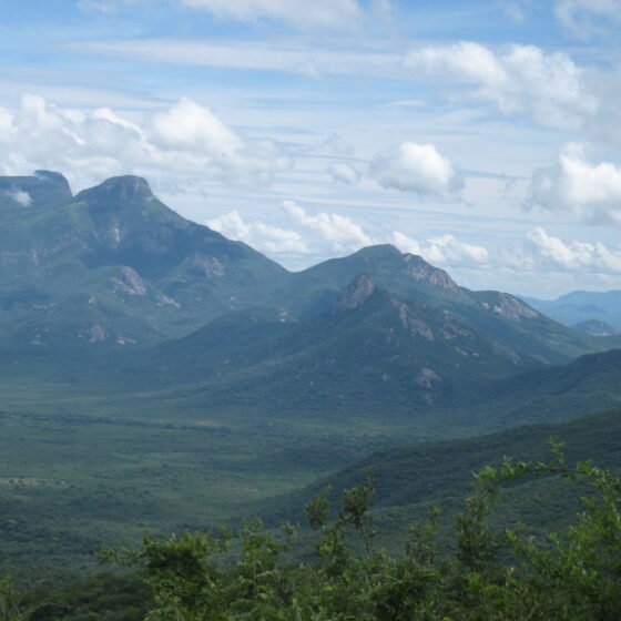 Angola Signature 6 Nights 7 Days