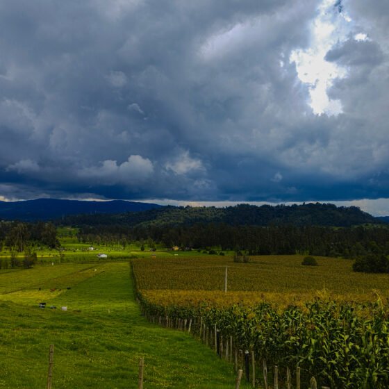 Colombia Signature 6 Nights 7 Days