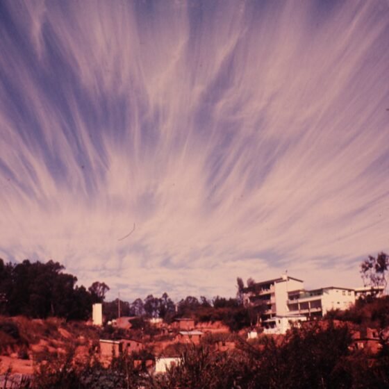 Madagascar Essential 4 Nights 5 Days