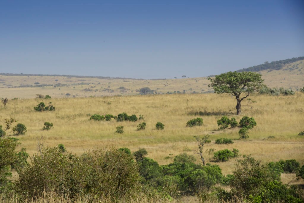 Kenya Travel Guide & Route Planning