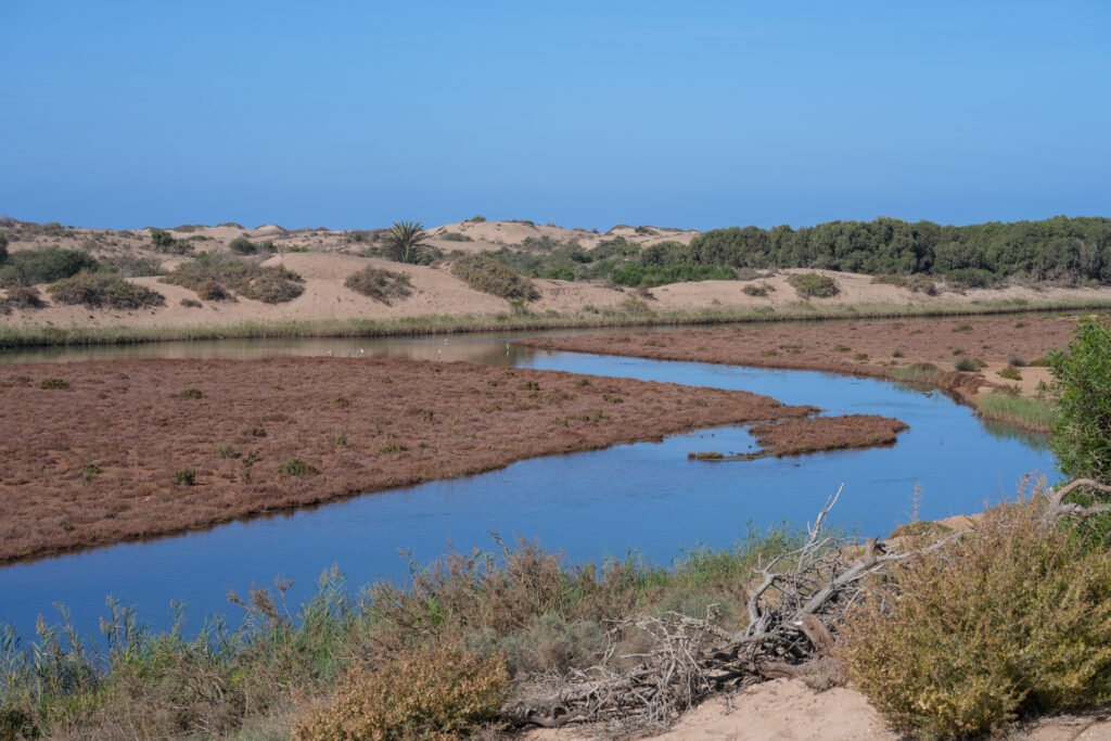 Morocco Essential 5 Nights 6 Days
