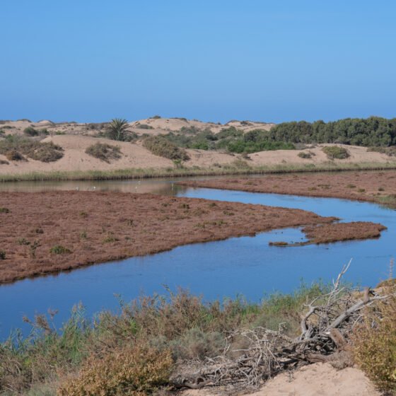 Morocco Essential 5 Nights 6 Days