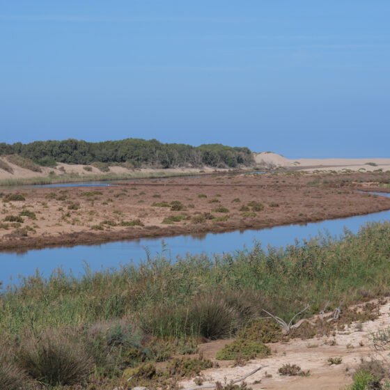 Morocco Grand Circuit 9 Nights 10 Days