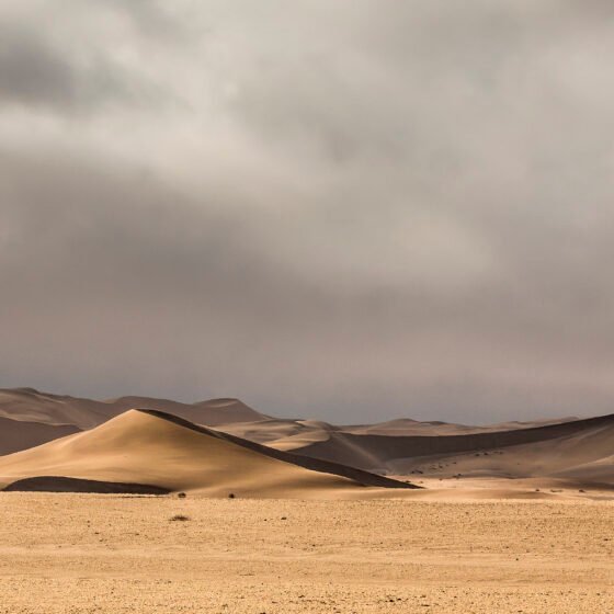 Namibia Signature 6 Nights 7 Days
