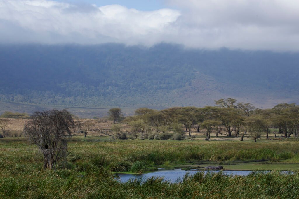 Tanzania Travel Guide & Route Planning