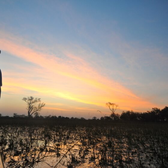 Botswana Grand Circuit 8 Nights 9 Days