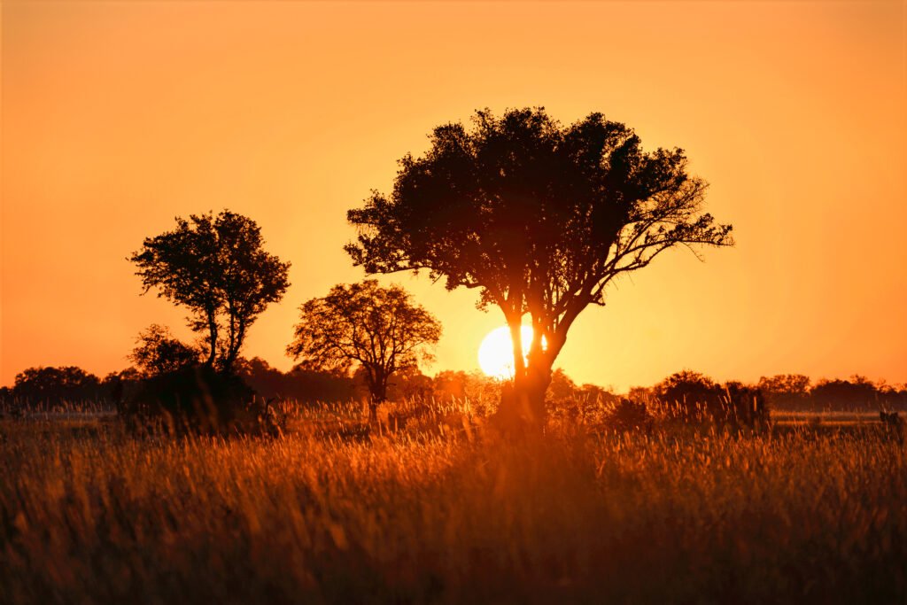 Botswana Signature 6 Nights 7 Days