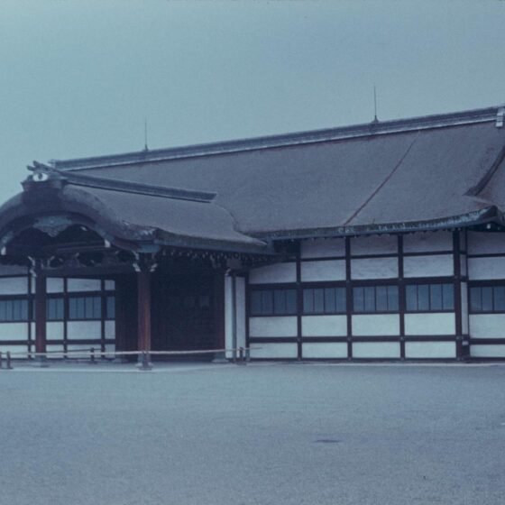 Kyoto Temples and Traditional District Guided Tour