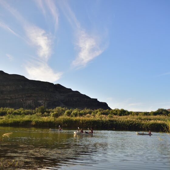South Africa Essential 6 Nights 7 Days