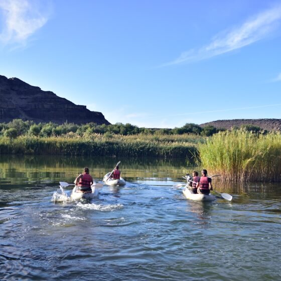South Africa Signature 9 Nights 10 Days
