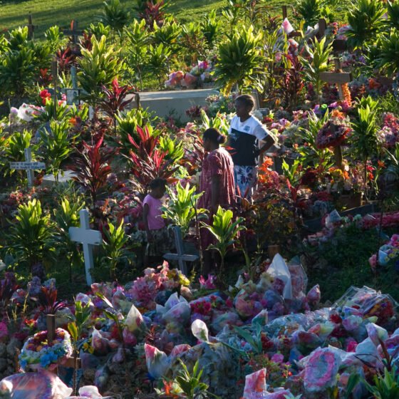 Vanuatu Signature 6 Nights 7 Days
