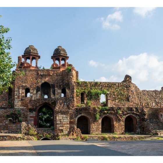 Old and New Delhi Heritage Guided Tour