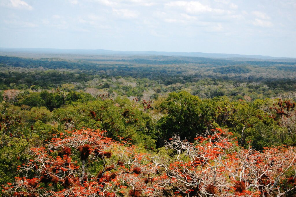 Guatemala Grand Circuit 8 Nights 9 Days