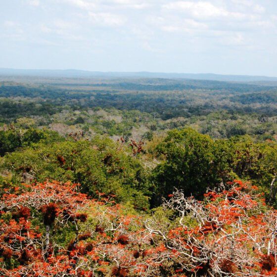Guatemala Grand Circuit 8 Nights 9 Days