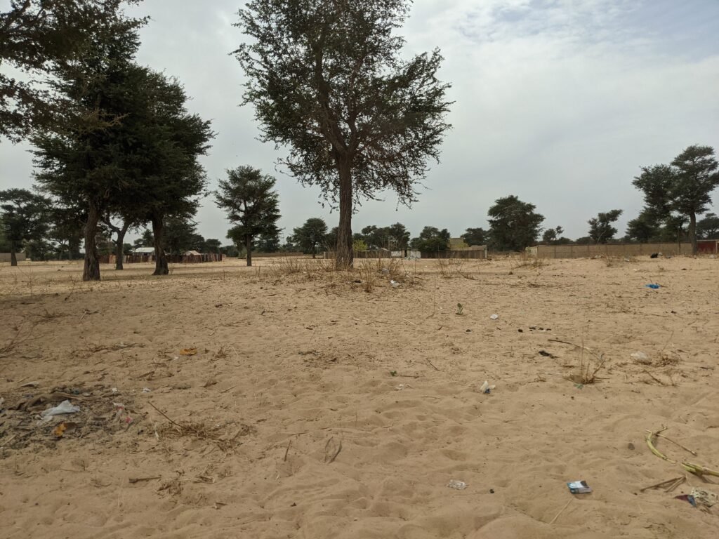 Senegal Essential 4 Nights 5 Days