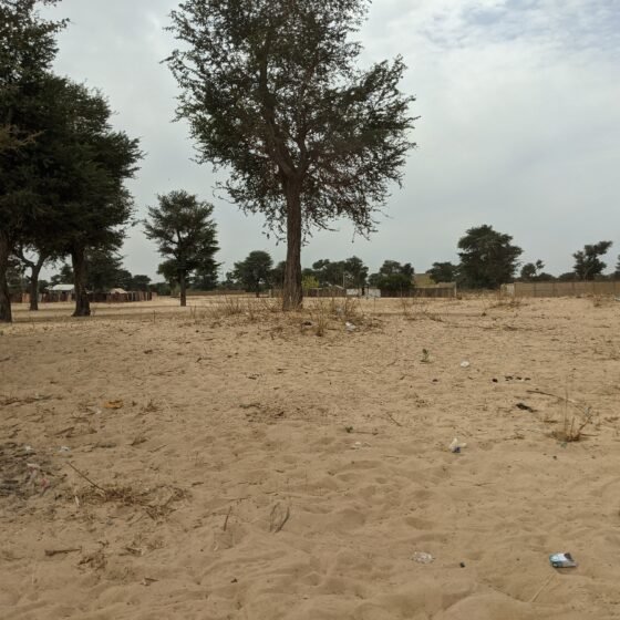 Senegal Essential 4 Nights 5 Days