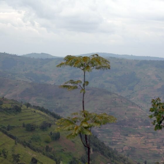 Rwanda Grand Circuit 8 Nights 9 Days