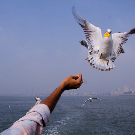Elephanta Caves Guided Ferry Experience