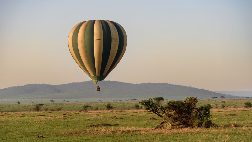 Tanzania Essential Safari 6 Nights 7 Days