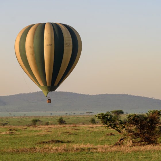Tanzania Essential Safari 6 Nights 7 Days