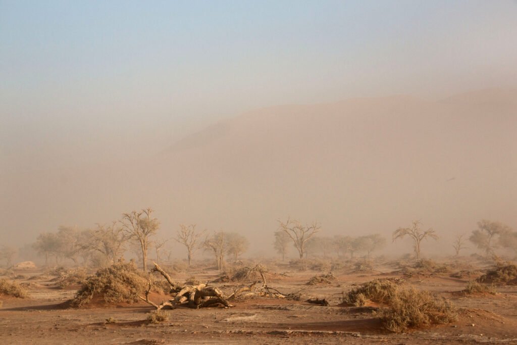 Namibia Grand Circuit 8 Nights 9 Days
