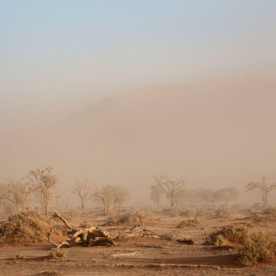 Namibia Grand Circuit 8 Nights 9 Days