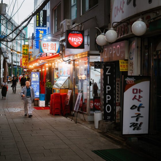 Seoul Palaces and Hanok Heritage Tour