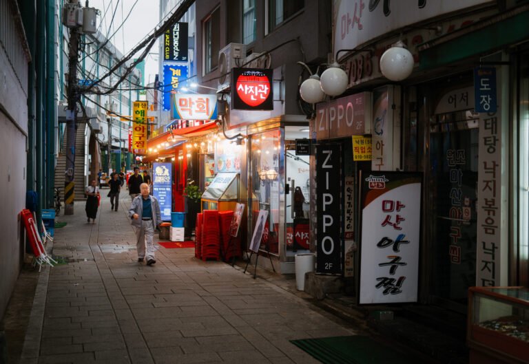 Seoul Palaces and Hanok Heritage Tour