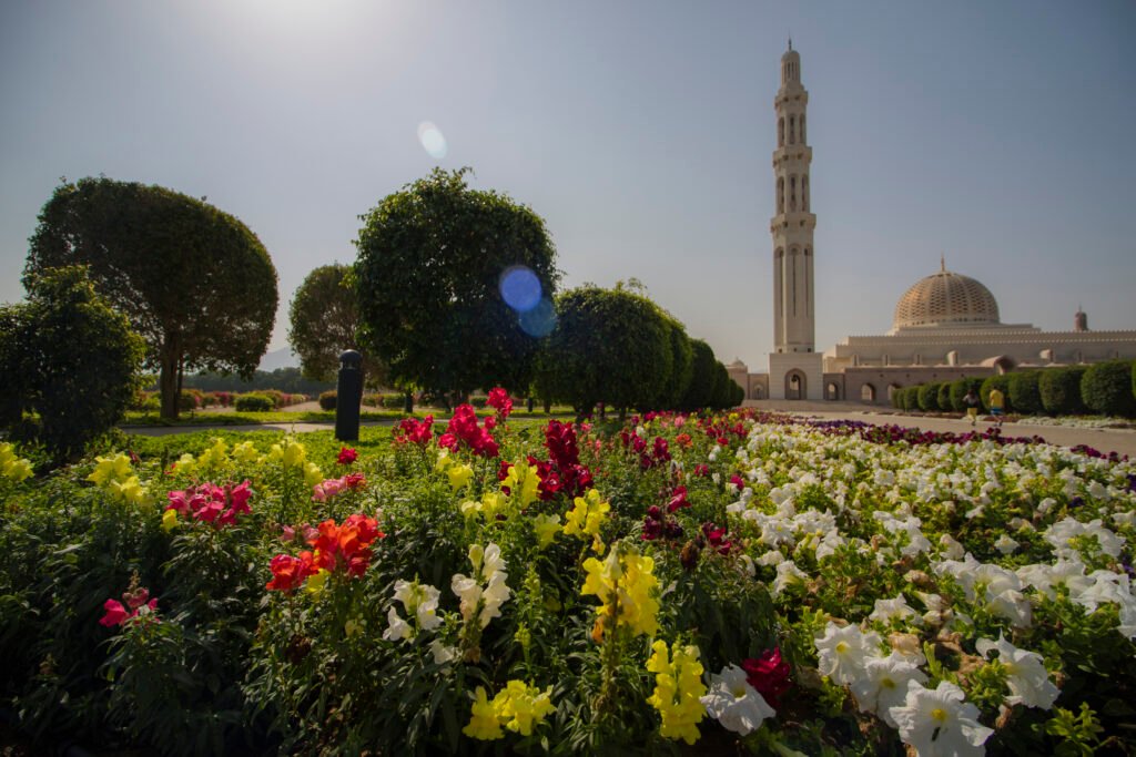 Abu Dhabi Grand Mosque and City Day Tour