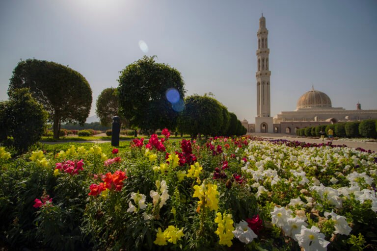 Abu Dhabi Grand Mosque and City Day Tour
