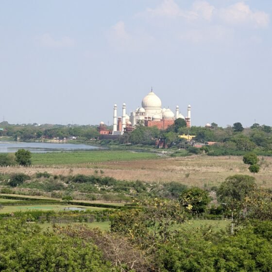 Taj Mahal and Agra Fort Guided Experience