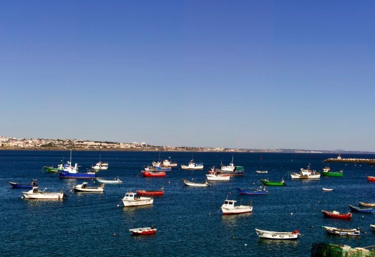 Cape Peninsula Scenic Day Tour