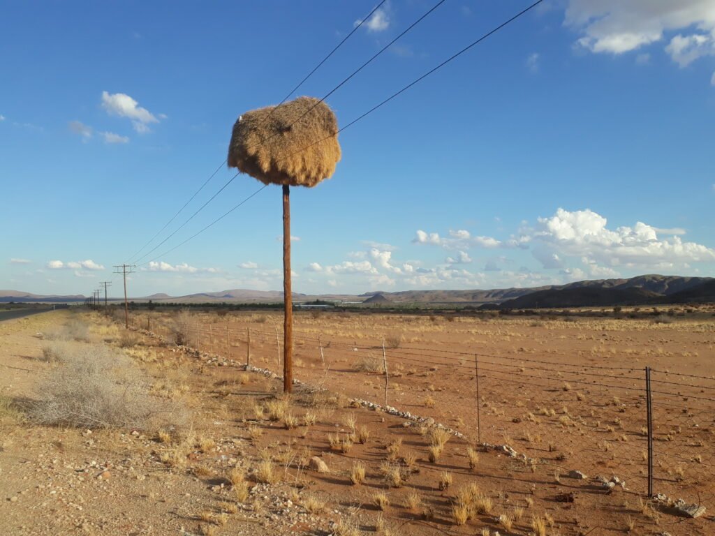 South Africa Travel Guide & Route Planning