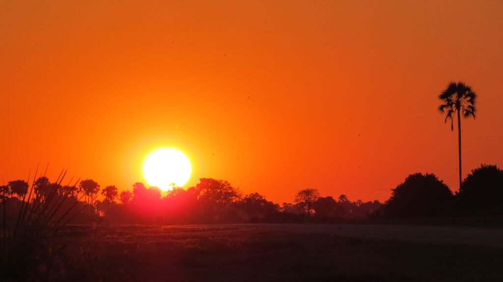 Botswana Travel Guide & Route Planning