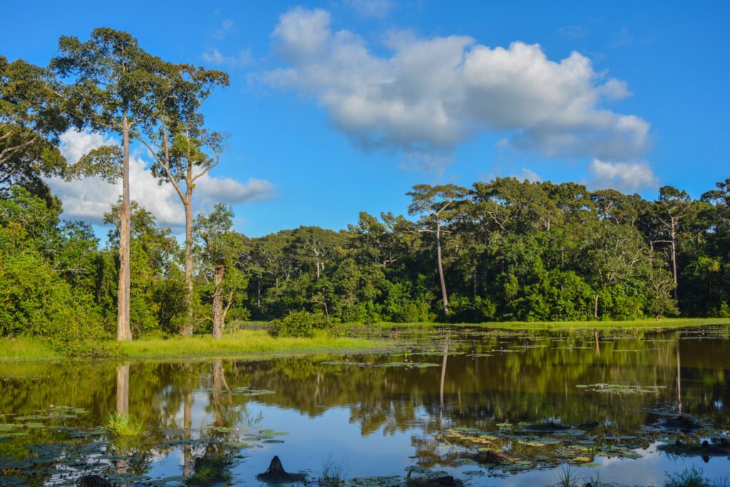 Bangladesh tour packages