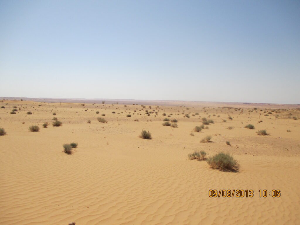 Algeria tour packages