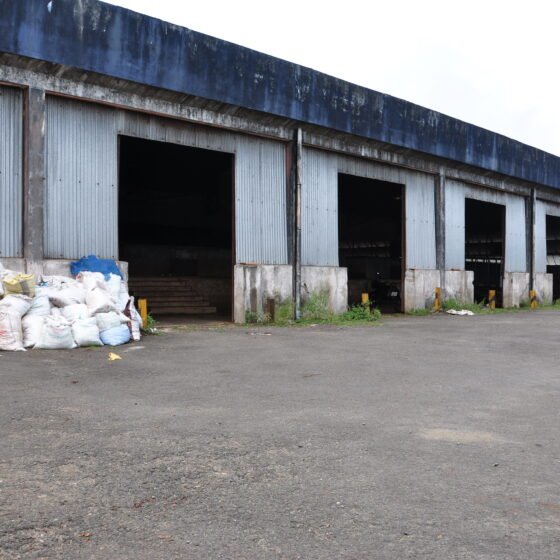 Munnar Tea Landscape and Factory Experience