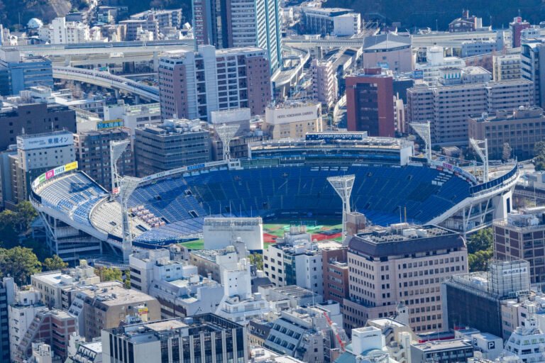 Tokyo Old and Modern Districts Guided Tour