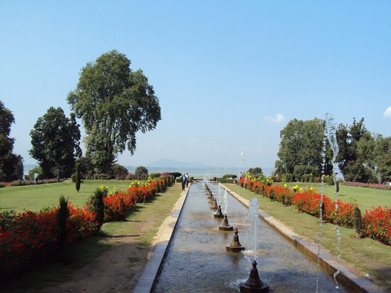 Fountains, flowers and garden paths at Nishat Gardens, Srinagar